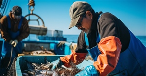 Ddl Mare, Fedagripesca: arrivano i bonus assunzioni e semplificazioni per la pesca